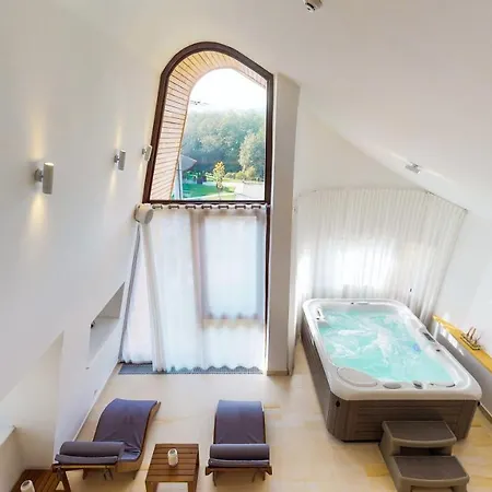 Cuibul De Lemn 酒店 4*